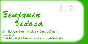 benjamin vidosa business card